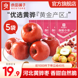 良品铺子枣无核枣香酥脆枣无核红枣营养酥脆冬枣整箱独立小包装量贩装 【5袋组合】酥脆小枣500g 1箱