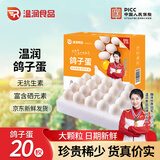 温润食品新鲜鸽子蛋 20枚/360g 杂粮喂养营养鸽蛋宝宝孕妇放心吃 京东自营