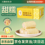 天勤粒粒净白糯玉米段120g*10段（2.4斤）新玉米糯玉米真空包装低脂早餐代餐