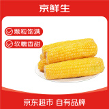京鲜生 东北小糯九黄糯玉米150g*10棒 新鲜甜糯玉米棒真空包装 源头直发