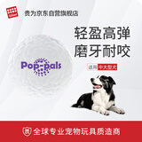 贵为（GiGwi）狗玩具大号爆爆球耐咬磨牙高弹宠物玩具球大型犬玩具球狗狗玩具