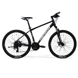 美利达（MERIDA）25款 雄狮610 山地自行车 21速 平丽一黑 26*17 (建议身高168-178CM)