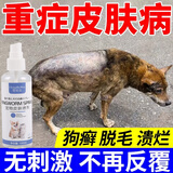 狗狗皮肤病专用狗癣真菌感染金毛拉布拉多法斗皮瘙痒掉毛外用喷剂 买3送2【严重皮肤病巩固装】常备