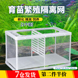 庐播鱼缸隔离网盒孔雀鱼苗饲养盒鱼缸内孵化盒小鱼母鱼产房凤尾热带鱼 大号隔离网（有隔板）