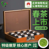 双碑绿茶信阳毛尖特级240g2025年新茶明前茶叶高档小罐礼盒父亲节礼物
