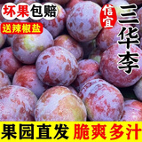 新鲜三华李广东信宜钱排红心李子孕妇水果现摘酸脆甜果园当季5斤 2斤 26-35g大果【顺丰包邮】