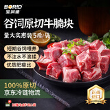 宝润德 南美进口原切牛腩块 净重5斤 生鲜牛肉谷饲炖煮食材 源头直发