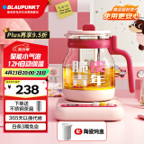 蓝宝（BLAUPUNKT）养生壶煮茶壶恒温水壶烧水壶家用花茶壶炖煮壶小气泡防糊防溢HP02 配白色炖盅