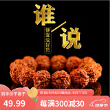 山中玉爆肉金刚菩提子手串男女士链藏式原籽大双龙纹文玩母亲节礼物 新人福利交友款【限购1条】