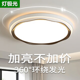 灯极光中山灯具2026年新款卧室灯led吸顶灯家用现代简约客厅灯房间灯 特蕙力荐-50cm单色白光48W