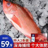 渔哥戏鱼深海红石斑鱼 富贵鱼冰岛冷冻大眼鱼石斑鱼生鲜鱼类 超大礼盒装【2斤*2条】