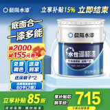 晨阳水漆（cysq）调和漆可刷金属家具暖气片钢管铁艺室内室外改色翻新自刷的水性漆 白色(送工具) 13kg*1件