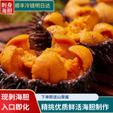 魃鲜冰鲜紫黄海胆刺身即食马粪海胆净肉海鲜现剥 即食食材【可刺身】 100g