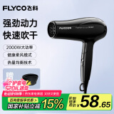 飞科（FLYCO）电吹风机家用便携冷热风护发速干吹风筒2000w大功率FH6231