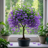 驱蚊虫金丝吊蝴蝶花卉绿植盆栽室内外阳台四季开花 紫罗兰【浓香耐寒+驱蚊虫】四季开花 花期300天10年苗【买一送一】开花爆满