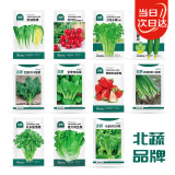 北蔬 蔬菜种子种苗香菜生菜葱菠菜春季叶菜类种籽 11种蔬菜种子套餐