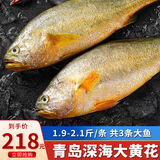 海宏盈 黄花鱼深海大黄鱼海鱼新鲜黄花鱼水饺食材海鲜鱼类 1.9斤-2.1斤/条 3条装