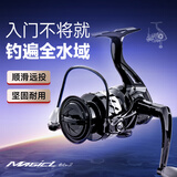 汉鼎鱼线轮纺车轮渔轮远投金属海杆路亚矶竿微物鱼轮 2代(黑)3000型