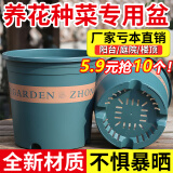 航若花盆加仑盆加厚塑料花盆批发花盆月季花盆阳台客厅树脂花盆特大号 矮款1加仑【8个装】 绿色升级款（不带托盘）
