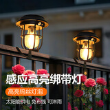 凡旭太阳能灯庭院户外阳台装饰栏杆灯家用室外防水围栏氛围花园小夜灯 1个升级太阳能感应绑带灯
