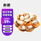 鲜驰 新鲜扇贝肉 冷冻特级大号带黄带膏北城红贝 商用海鲜水产批发 【大号】扇贝肉 净重4斤