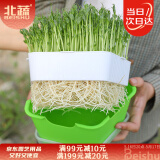 北蔬 育苗盘水培芽苗菜育苗盒种植盒保温带盖发芽盒 五角芽苗菜育苗盘