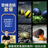 云峰海瑞 观赏螺水族活体缸壁除藻螺鱼缸除藻清淤活化床底 登峰造极套餐 强力清洁共8只