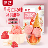 展艺 冰淇淋粉 手工自制家用雪糕粉冰棒甜筒材料 草莓白巧口味 100g