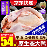 柒岛鸭子樱桃谷鸭现杀新鲜冷冻农家散养土鸭整只水母鸭生鲜 大鸭子1只（杀好净重5-6斤/只）