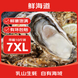鲜海道【活鲜】鲜海道生蚝  乳山牡蛎 新鲜海蛎子生鲜贝类 超大号7XL号带箱10斤