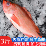 渔哥戏鱼深海红石斑鱼 富贵鱼冰岛冷冻大眼鱼石斑鱼生鲜鱼类 大号红石斑鱼 【750-800g*2条】