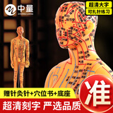 中量针灸人体模型十二经络穴位图真人版中医铜人可扎针小皮人全身经脉 【扎针软款】铜色男模 52cm