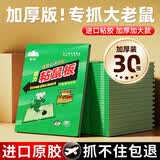 山山 强力粘鼠板捕鼠器粘老鼠贴家用老鼠夹药超值装30张