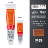 温莎牛顿油画颜料画家专用油画颜料55色初学者大容量油彩颜料管支单支-1 熟赭 170ml