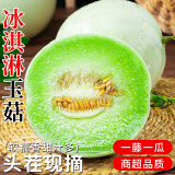 粤迎冰淇淋玉菇甜瓜新鲜水果当季香瓜冰淇淋脆甜哈山东香瓜孕妇可吃 净8-9斤精选果【单果450g+】