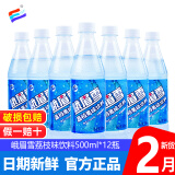峨眉雪 汽水荔枝果味碳酸饮料500ml*12瓶 四川特产夏日冰镇饮品 荔枝味500ml*12瓶