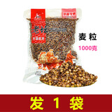 西部风（Xibu feng）老坛五谷杂粮1000克玉米小麦水麦库池塘鲫鱼鲤鱼草鱼窝料谷麦发酵 1000克老坛【纯麦粒】X 1袋