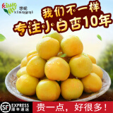 想妮新疆小白杏新鲜 新疆轮台白杏新疆杏子新鲜水果爆甜 顺丰空运 大果家庭装4斤