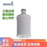 安利益之源净水器滤芯水芯（含前置滤网 适配100188CH净水机）