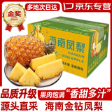 蒲恋海南金钻凤梨新鲜水果手撕凤梨削皮即食无眼菠萝时令热带水果 3斤尝鲜装【1-3枚】头茬现摘 A+级头茬鲜果【爆甜多汁】