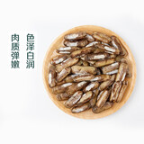 鲜活蛏子300g（23-30粒）