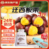 迁西鲜板栗 2024年新生板栗大颗粒 栗新鲜栗子甜栗子鲜板栗生栗子 老树板栗 3斤 （布袋+开栗器）