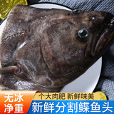渔哥戏鱼 鲽鱼头身 深海鱼头鸦片鱼比目鱼新鲜分割碟鱼身烧烤鱼头 超大鲽鱼头 2kg （2斤*2只 共4斤）