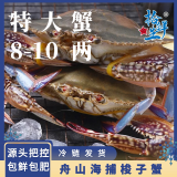 拾鲜生 梭子蟹活冻舟山特大野生螃蟹 冷冻海蟹海鲜水产 3斤梭子蟹8两-1斤/只 源头直发