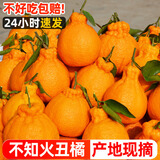 粑粑柑十斤一整箱四川春见耙耙柑10斤水果年货丑八怪不知火丑橘子 [特大果]果径85-90mm不知火丑橘 10斤精装（分两箱发）