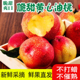 岸上人家正宗黄心油桃脆桃脆甜可口新鲜孕妇水果现采小桃子现发单果60g+ 带箱3斤【净重2.5-2.7斤】60g+
