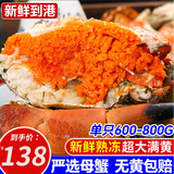 海皇湾  面包蟹 熟冻超大黄金蟹螃蟹母蟹海蟹黄道蟹生鲜蟹类 【推荐】特大号600-800g/只*2只