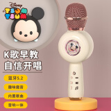 迪士尼（Disney）儿童话筒音响一体麦克风k歌早教启智玩具六一儿童节礼物 MC10米奇