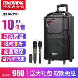 特美声（TEMEISHENG） QX1229H广场舞音响户外便携K歌蓝牙拉杆移动大功率唱歌话筒音箱 10寸标配+双手持