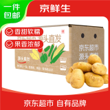 京鲜生山东新鲜土豆 净重3斤 新鲜现挖正宗黄心马铃薯蔬菜源头直发